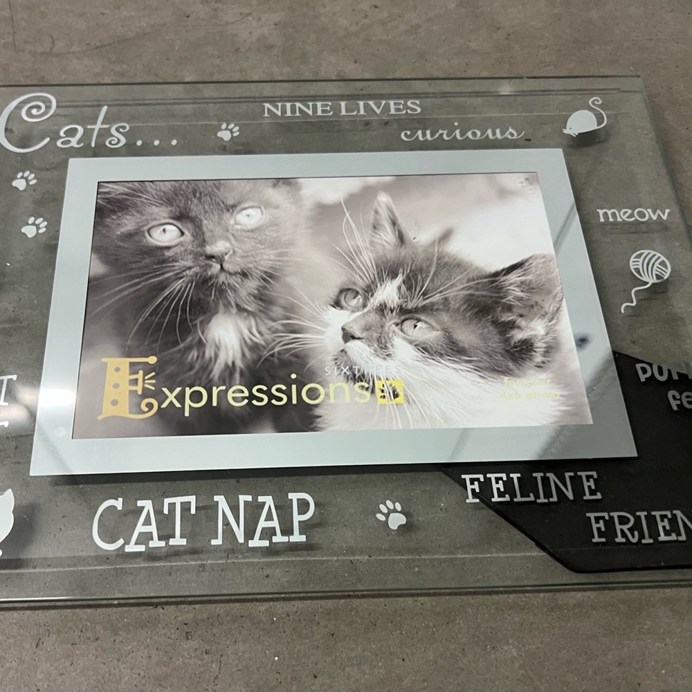 Sixtress Glass 5x7 Photo Frame with Mirror Accents.  Cat theme.  NEW. Gift.